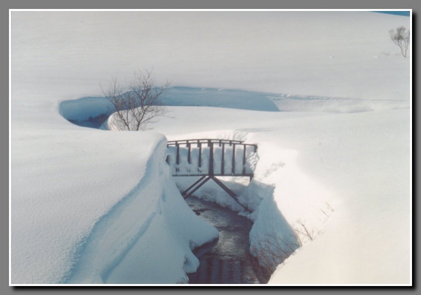 Hiking trail bridge across a brook in Langidalur. It gives one a perspective on the snow dept. 